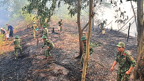 Kiên Giang: Dập tắt vụ cháy 10ha rừng chàm