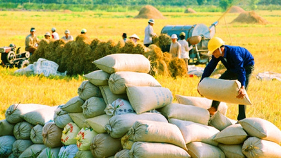 Được xuất khẩu 400 nghìn tấn gạo trong tháng tư