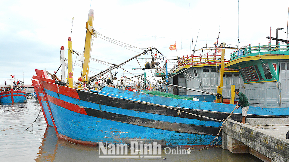 Dự báo thời tiết và thủy văn đêm 07 ngày 08-05-2020 trên địa bàn tỉnh Nam Định