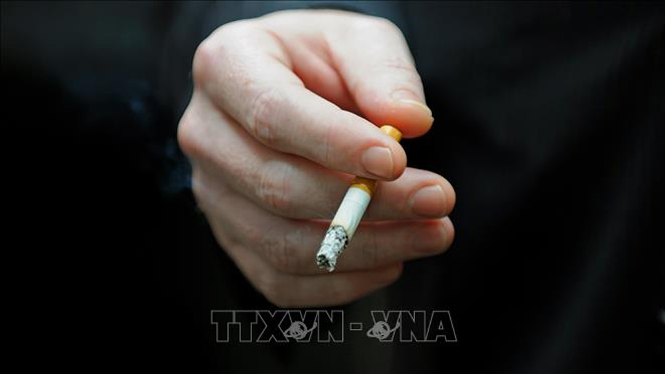 Các nước EU áp dụng lệnh cấm thuốc lá bạc hà