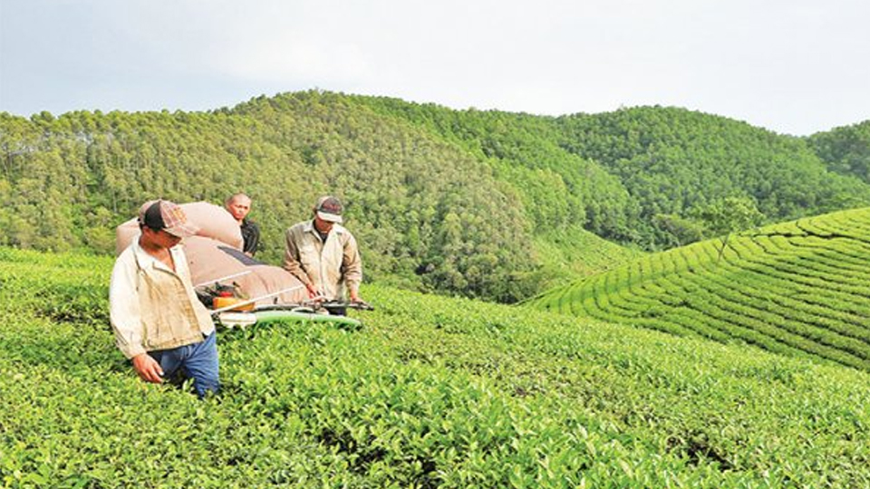 Yên Bái: Tháo gỡ khó khăn cho ngành nông nghiệp