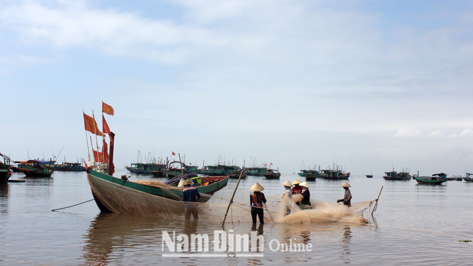 Khó khăn trong chuyển đổi nghề cho ngư dân khai thác thủy sản ven bờ