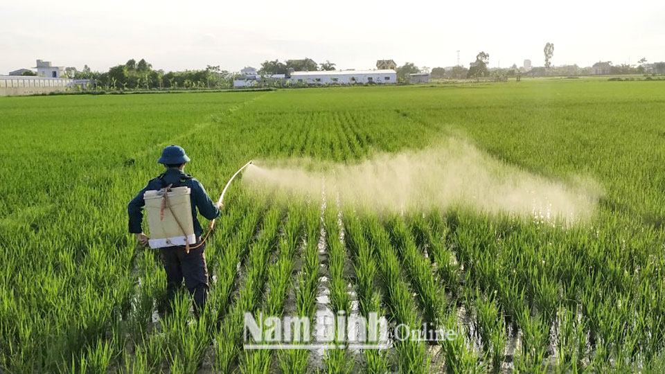 Từng bước giảm thiểu sử dụng hóa chất bảo vệ thực vật trong sản xuất nông nghiệp