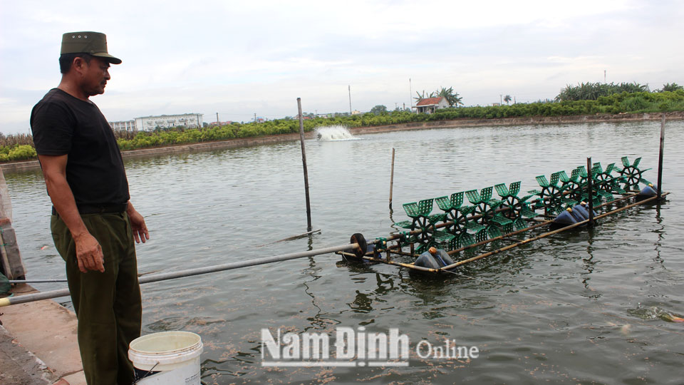 Hiệu quả mô hình nuôi trồng thủy sản ở thị trấn Thịnh Long