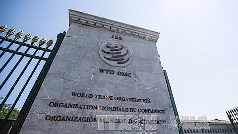 WTO: Tiếp tục tiến trình chọn lãnh đạo