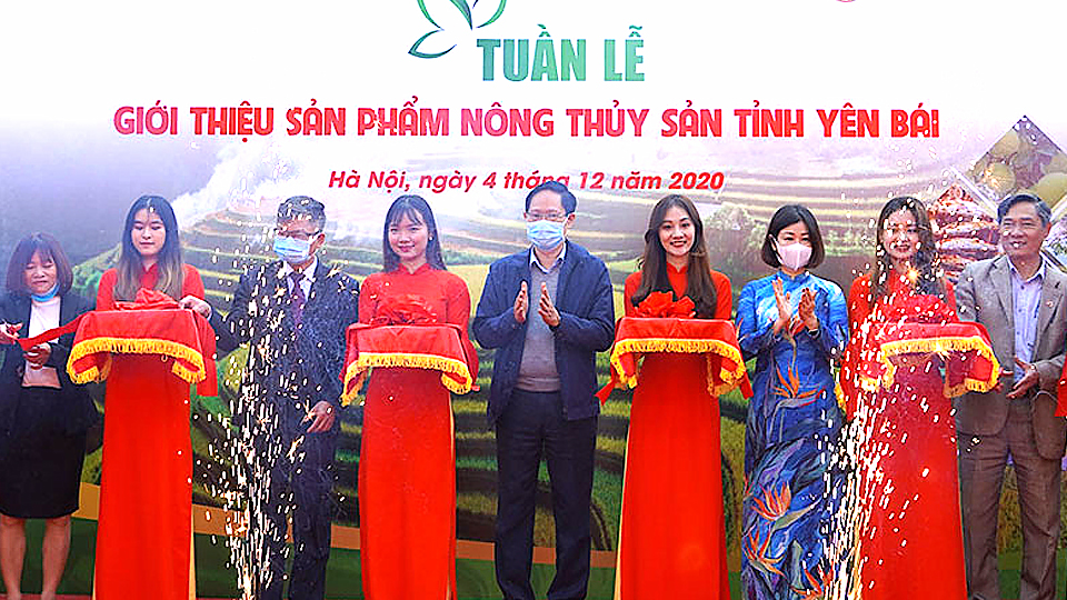 Hà Nội: Quảng bá hàng nông sản Yên Bái