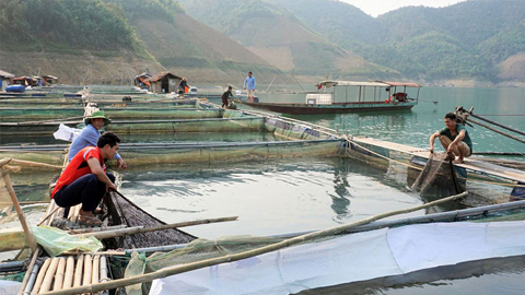 Lai Châu: Thay đổi nhận thức của người dân trong sản xuất nông nghiệp