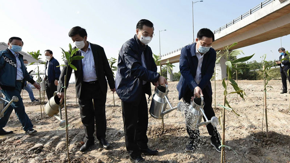 Hà Nội: Phấn đấu trồng 300 nghìn cây xanh trong năm 2021