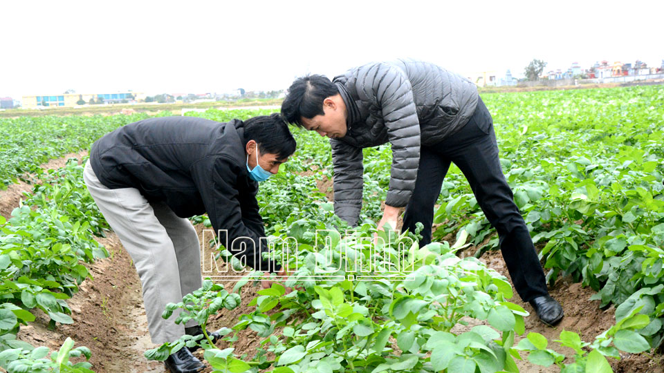 Hỗ trợ kinh tế nông nghiệp địa phương phát triển an toàn, bền vững