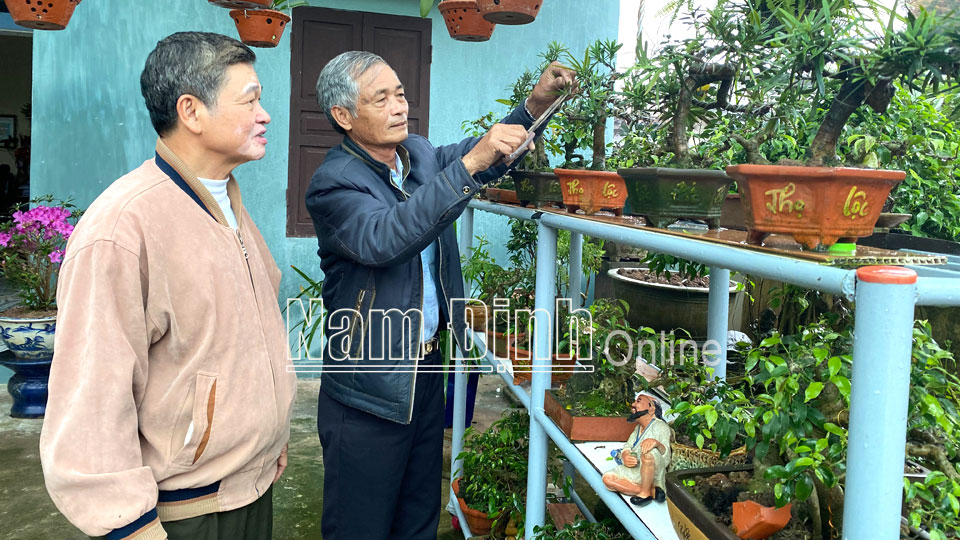 Hoạt động các CLB Cựu chiến binh - Cựu quân nhân sản xuất, kinh doanh giỏi ở thành phố Nam Định