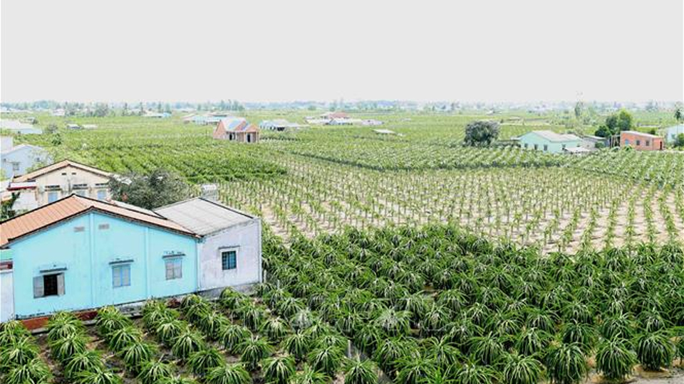 Tiền Giang: Đầu tư hơn 4.000 tỷ đồng xây dựng nông thôn mới