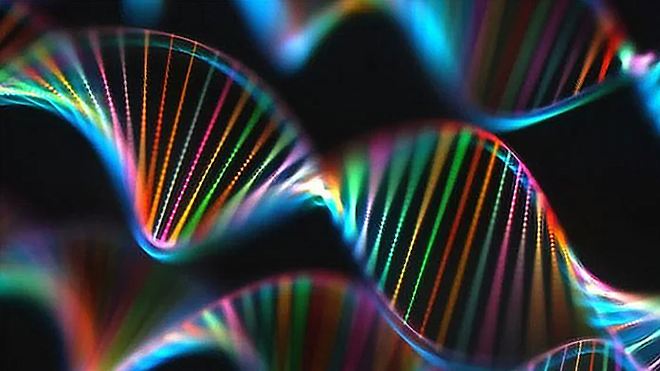 Lần đầu tiên có thể thu thập DNA của cơ thể sống thông qua không khí