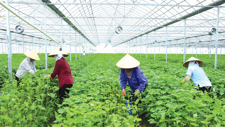 Bắc Ninh: Đa dạng hóa các hoạt động hỗ trợ nông dân