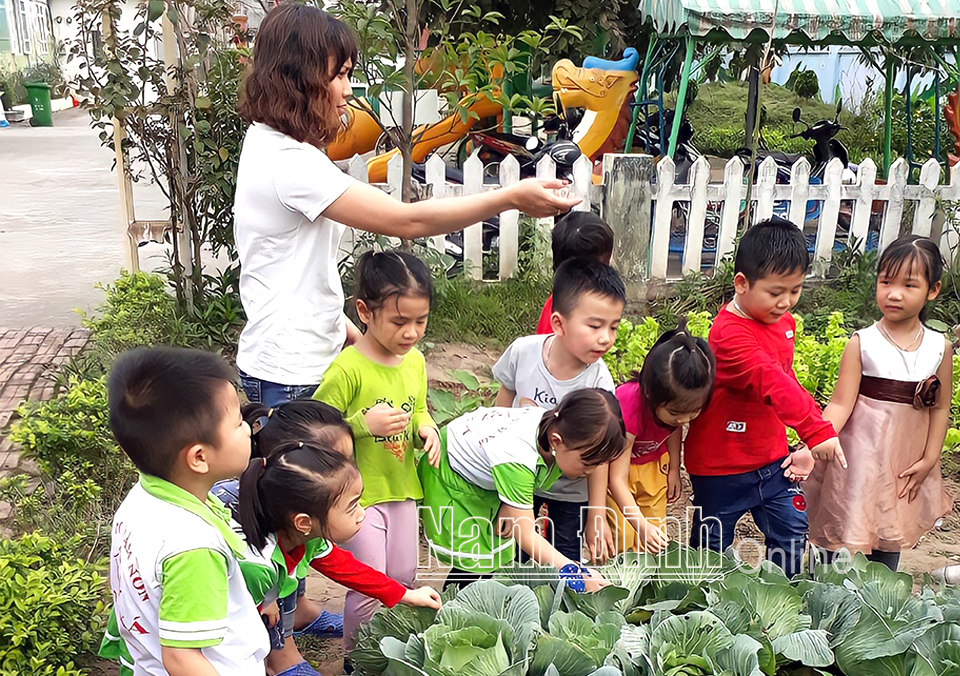 Thành phố Nam Định khắc phục khó khăn về quỹ đất cho các trường học