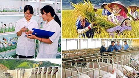 Khuyến khích doanh nghiệp đầu tư vào nông nghiệp, nông thôn