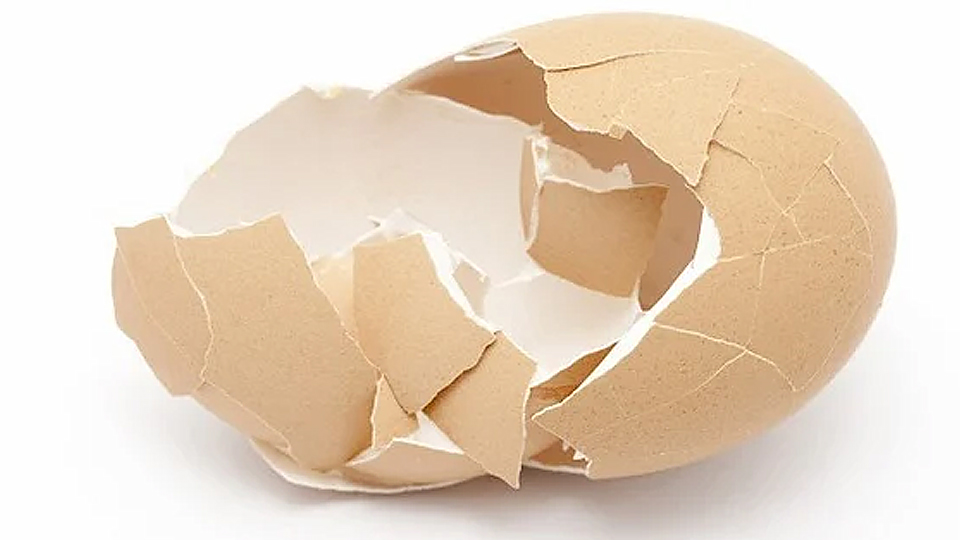Nhà khoa học tạo vật liệu làm xương nhân tạo từ vỏ trứng
