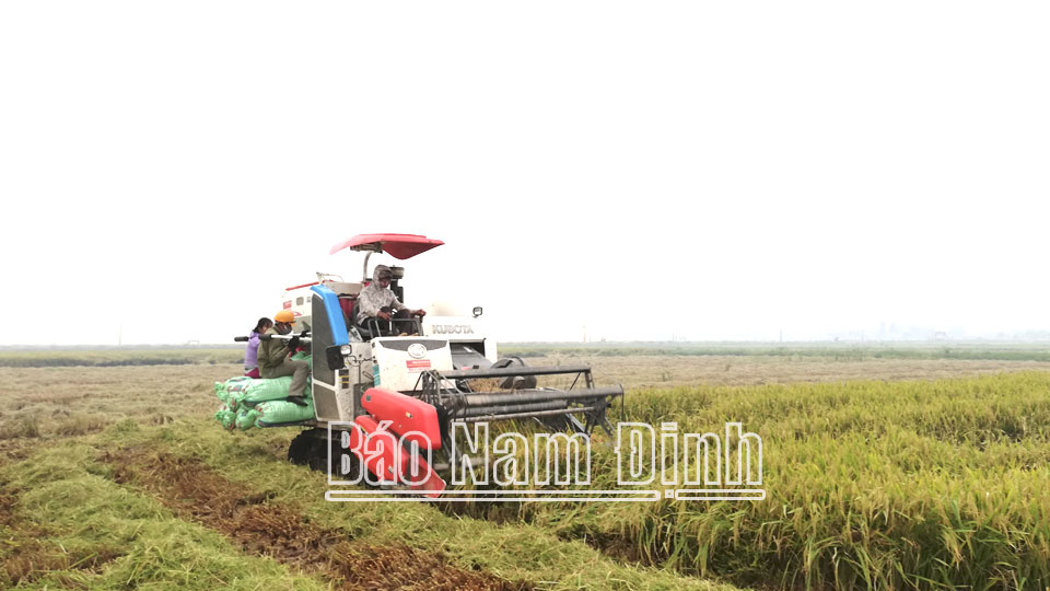 Trực Ninh khuyến khích doanh nghiệp đầu tư sản xuất nông nghiệp công nghệ cao