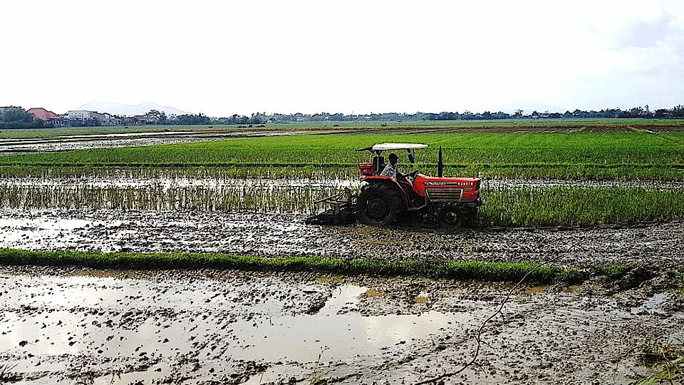 Hà Nam: Chủ động chuẩn bị các điều kiện cho sản xuất vụ lúa xuân 2022