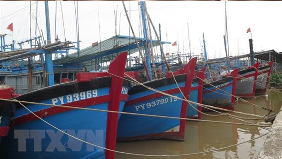 Các tỉnh từ Quảng Ninh đến Bình Định chủ động ứng phó với gió mạnh trên biển