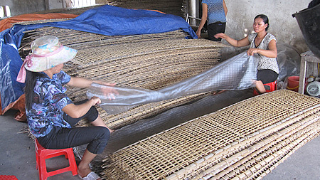 Sản xuất các sản phẩm miến dong, miến gạo tại làng nghề chế biến thực phẩm xã Nghĩa Lâm (Nghĩa Hưng).