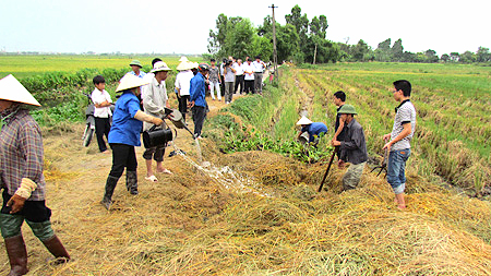 Nông dân xã Lộc Hòa (TP Nam Định) tham gia dự án Ứng dụng công nghệ sinh học xử lý rơm rạ sau thu hoạch. 