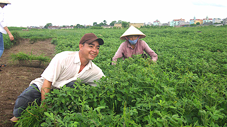 Mô hình trồng rau, củ an toàn của gia đình anh Đào Văn Đạo, xóm 16, thôn Cốc Dương, xã Yên Đồng cho thu nhập 20-30 triệu đồng/vụ. 
