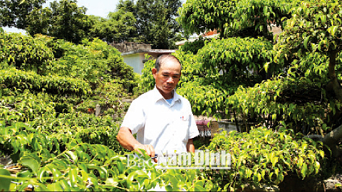 Gia đình ông Nguyễn Đức Thuận, xóm 13, xã Giao Yến là hộ gia đình làm kinh tế giỏi.