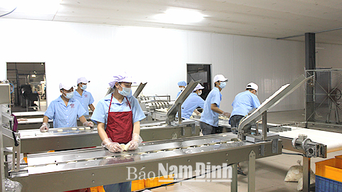 Dây chuyền sản xuất bánh kẹo tại Cty TNHH Thương mại Hoà Bình, CCN An Xá (TP Nam Định).