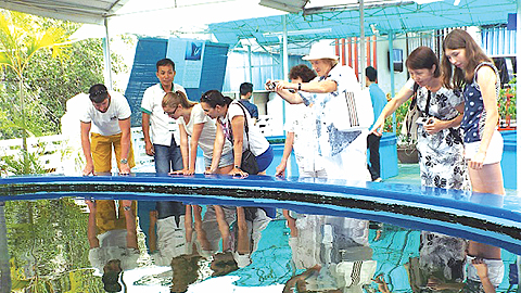 Du khách thích thú khi tham quan Bảo tàng Hải dương học Nha Trang.