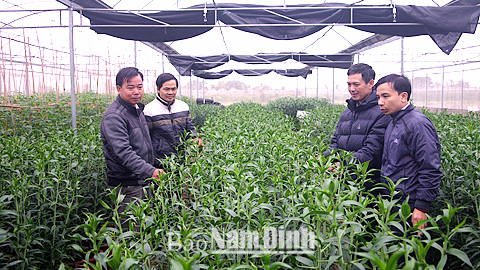 Cán bộ HND tỉnh tham quan mô hình trồng hoa ly trong nhà lưới tại hộ gia đình anh Trần Trọng Việt, xóm 7, xã Mỹ Thắng (Mỹ Lộc).