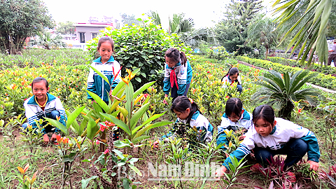 Học sinh Trường Tiểu học Yên Tiến (Ý Yên) chăm sóc vườn trường.