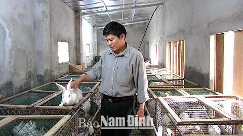 Gia trại nuôi thỏ của hộ gia đình ông Vũ Văn Vinh, thôn 4 Đồng Thái.