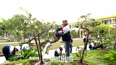 Học sinh Trường Tiểu học Bình Hòa chăm sóc cây xanh trong vườn trường.