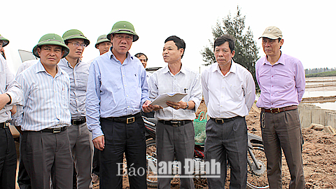 Đồng chí Đoàn Hồng Phong, Phó Bí thư Tỉnh ủy, Chủ tịch UBND tỉnh kiểm tra tiến độ thi công đê Cồn Xanh (Nghĩa Hưng).