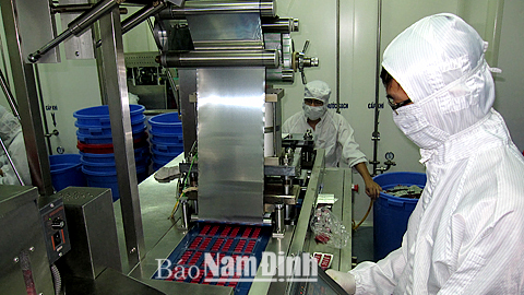 Sản xuất các sản phẩm thuốc và hóa dược tại Cty TNHH Nam Dược, KCN Hòa Xá (TP Nam Định).