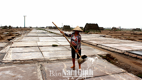 Diêm dân xã Hải Chính (Hải Hậu) vệ sinh ruộng muối trước khi bước vào vụ sản xuất mới.