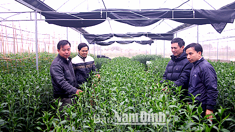 Cán bộ HND tham quan mô hình trồng hoa, rau an toàn trong nhà lưới của gia đình anh Trần Trọng Việt, làng Sắc, xã Mỹ Thắng.