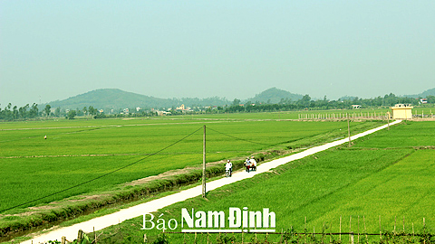 Dồn điền đổi thửa đã giúp xã Minh Tân (Vụ Bản) hình thành các vùng chuyên canh tập trung, thực hiện tái cơ cấu ngành Nông nghiệp. 
