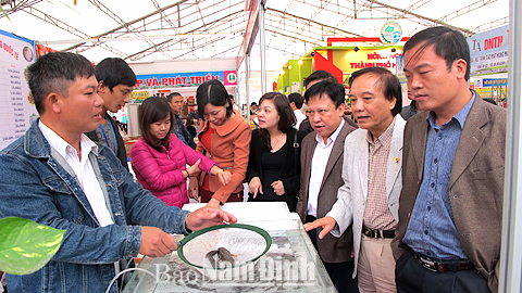 Anh Nguyễn Văn Sơn (bên trái), khu 6, Thị trấn Rạng Đông (Nghĩa Hưng) giới thiệu sản phẩm cá bống bớp tại Hội chợ triển lãm nông nghiệp quốc tế - AgroViet tổ chức tại Hà Nội.