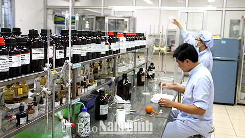 Nghiên cứu điều chế thuốc tại Cty CP Dược phẩm Nam Hà (TP Nam Định).