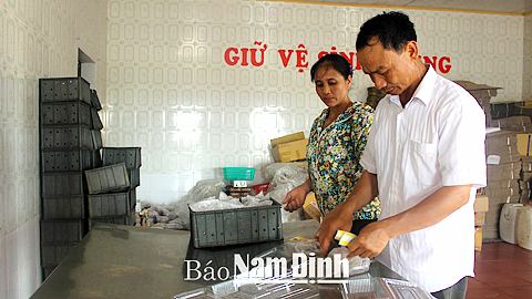 Đóng gói và dán nhãn mác sản phẩm sứa ăn liền tại Cty TNHH Vạn Hoa, Thị trấn Thịnh Long (Hải Hậu).