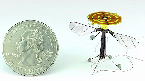 Loại robot côn trùng còn có thể dùng để do thám khi cần.