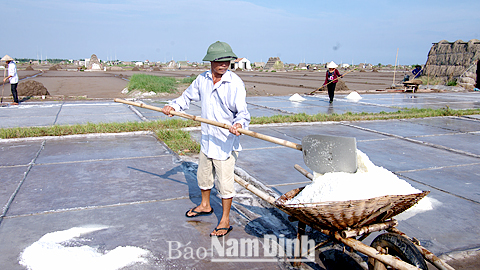 Diêm dân xã Bạch Long sản xuất muối.