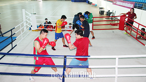 Một buổi tập luyện của các VĐV môn boxing thuộc Trung tâm TDTT tỉnh (Sở VH, TT và DL).