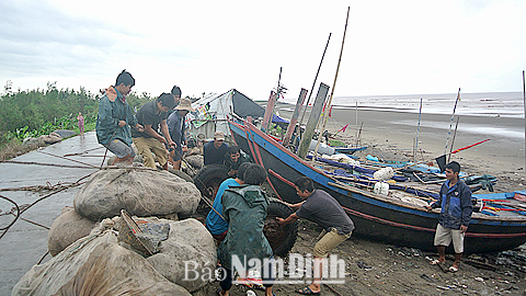 Ngư dân Thị trấn Thịnh Long thu gọn ngư cụ, kéo lưới đưa tàu thuyền vào bờ an toàn. Ảnh: Đức Toàn 