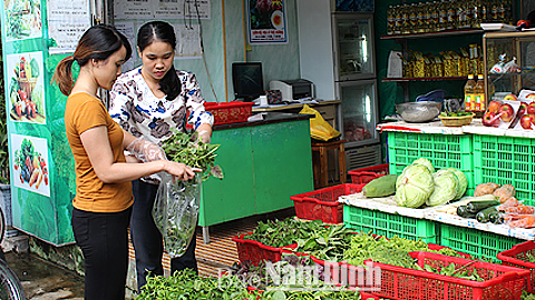 Cán bộ Chi cục Quản lý chất lượng Nông, lâm sản và Thủy sản lấy mẫu rau để giám sát dư lượng thuốc BVTV tại một cửa hàng kinh doanh rau sạch trên địa bàn Thành phố Nam Định.