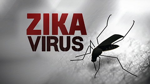 Sử dụng bộ test Trioplex để phát hiện virus Zika, SXH Dengue, sốt Chikungunya