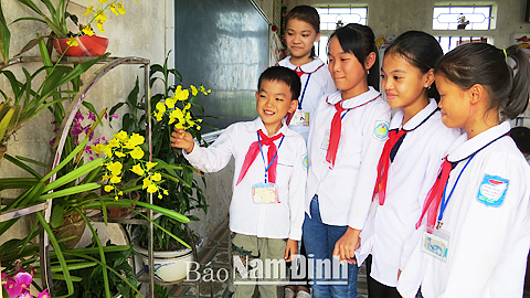 Học sinh Trường Tiểu học Hải Châu chăm sóc góc cây xanh của lớp học.
