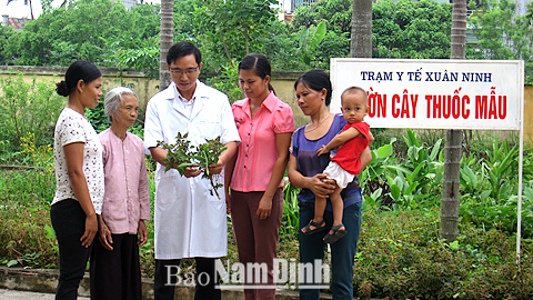 Cán bộ Trạm Y tế Xuân Ninh (Xuân Trường) hướng dẫn người dân sử dụng cây thuốc nam điều trị bệnh.