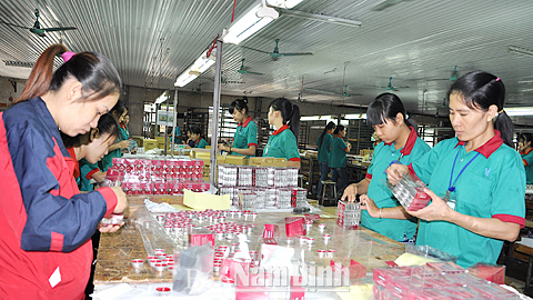 Sản xuất nến xuất khẩu sang thị trường Mỹ và các nước EU tại Cty TNHH Universal Candle Việt Nam (KCN Hoà Xá).